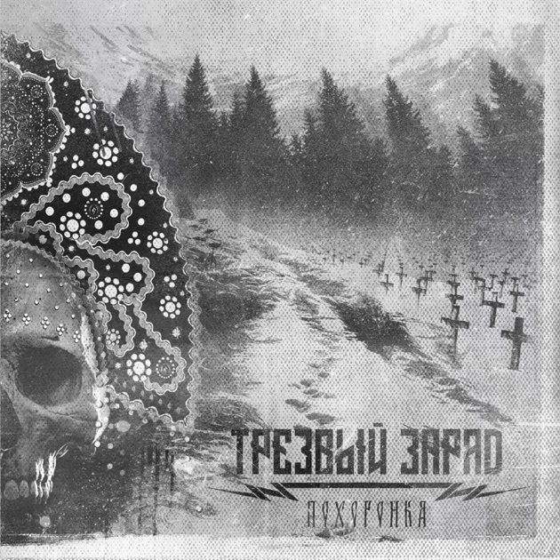 Основателя группы «Трезвый Заряд», певшей о «могилизации», оштрафовали за размещение песен на Apple Music