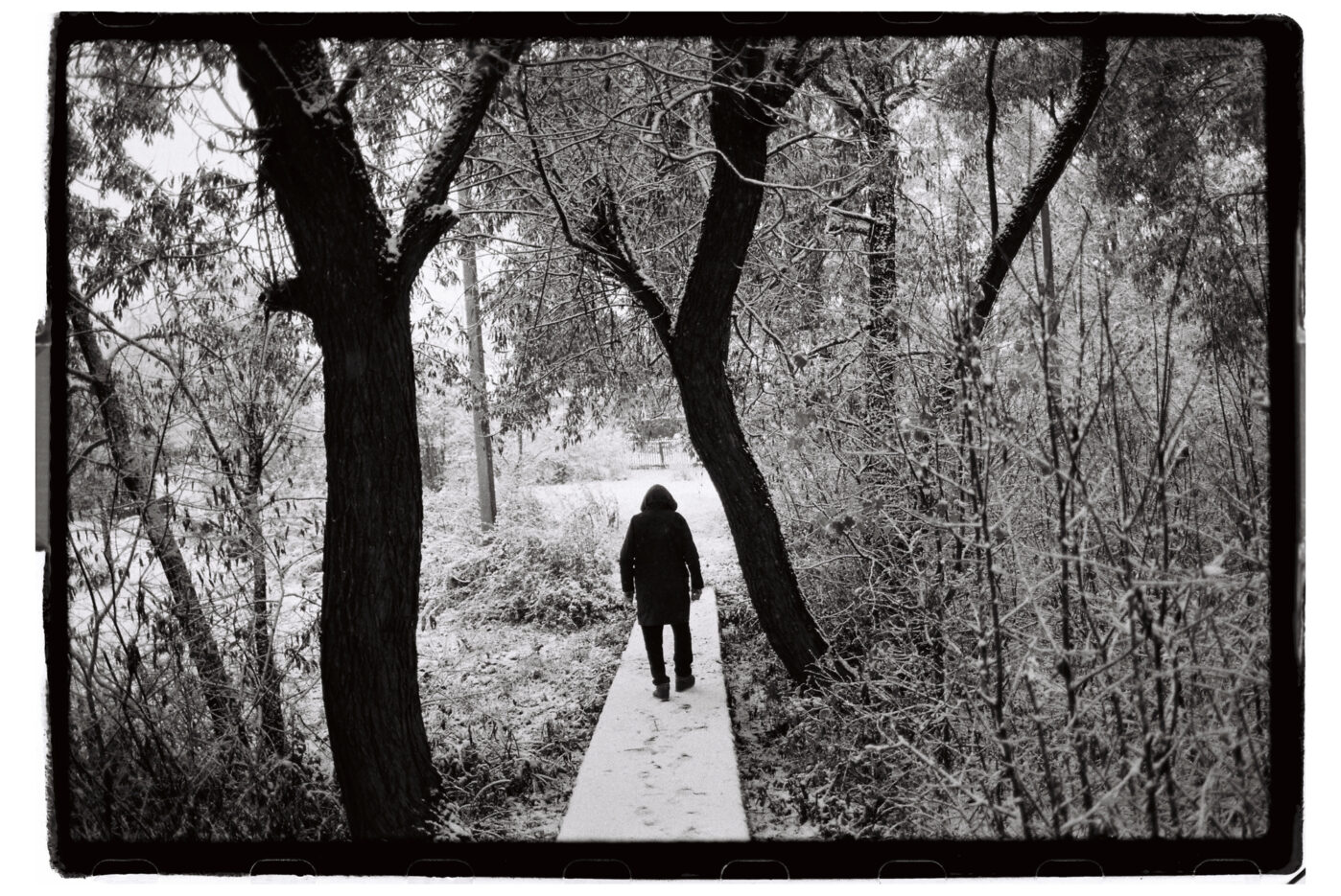 Фотограф Владимир Аверин в фотопроекте о болезни Альцгеймера у близкого человека рассказывает, с какими трудностями сталкивается человек, ухаживающий за больным