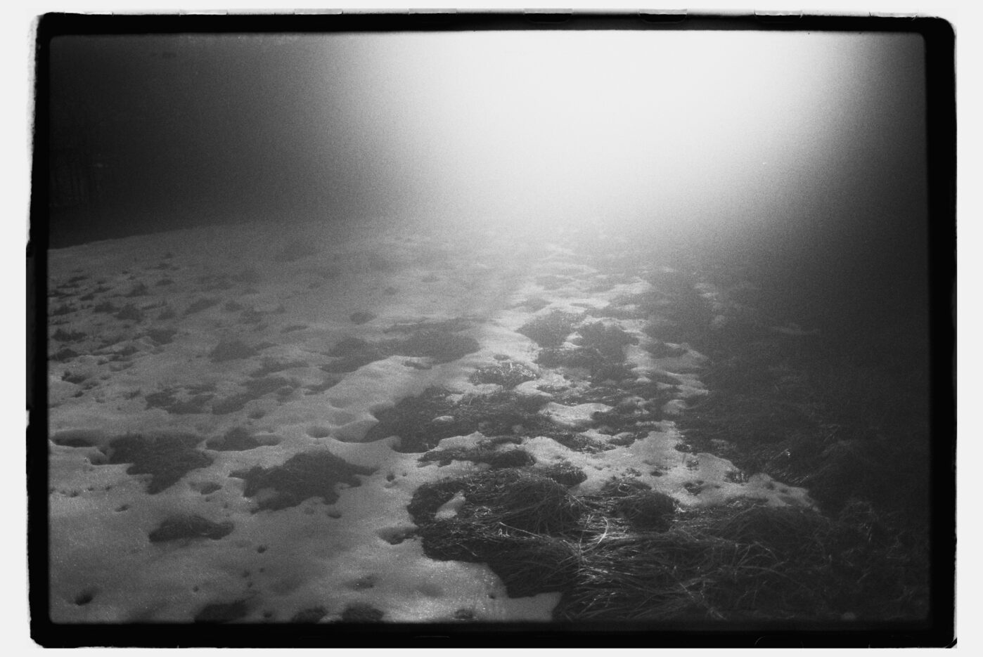 Фотограф Владимир Аверин в фотопроекте о болезни Альцгеймера у близкого человека рассказывает, с какими трудностями сталкивается человек, ухаживающий за больным