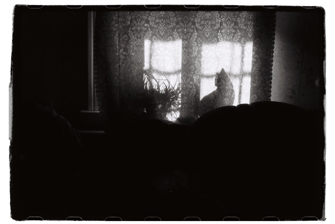 Фотограф Владимир Аверин в фотопроекте о болезни Альцгеймера у близкого человека рассказывает, с какими трудностями сталкивается человек, ухаживающий за больным